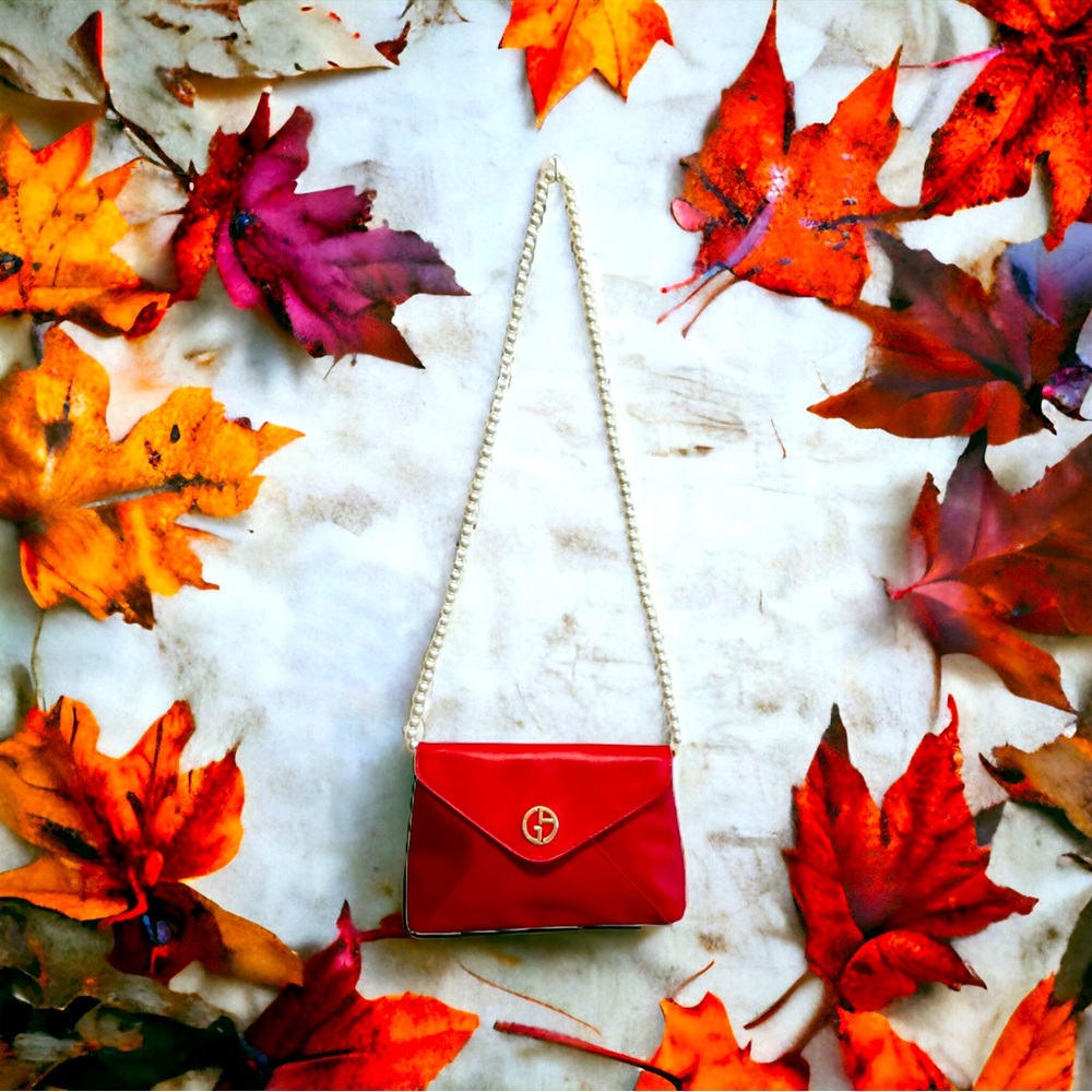 Giorgio Armani little purse